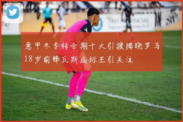 意甲冬季转会期十大引援揭晓罗马18岁前锋瓦斯成标王引关注